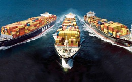 Kiến nghị lập tổ thanh tra việc tăng giá cước vận tải biển