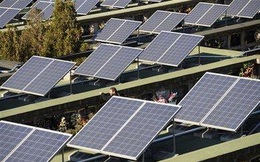 Loạt dự án 'chốt sổ' điện mặt trời hòa lưới điện quốc gia 2020