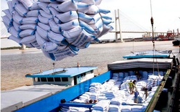 Việt Nam nhập khẩu gạo từ Ấn Độ không phải do thiếu lương thực