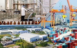 Các nhóm ngành dự báo sẽ tạo ra cơ hội đầu tư trong quý cuối năm