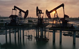 Economist: Giữa khủng hoảng năng lượng, một loại nhiên liệu quan trọng sẽ đi vào 'cõi chết', dầu sẽ sớm hết thời