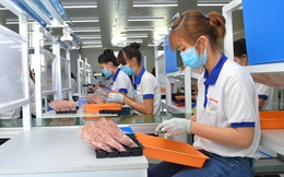 Trên 80% doanh nghiệp ở Đồng Nai đã hoạt động trở lại