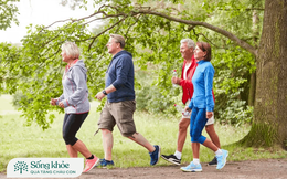 Người sau 50 tuổi dậy sớm đi bộ mỗi ngày sẽ hưởng đủ lợi ích: Giảm đau xương khớp, tăng cường sự dẻo dai, kéo dài tuổi thọ không ngờ