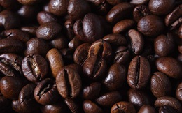 Cà phê Robusta tăng lên mức cao nhất kể từ 2017