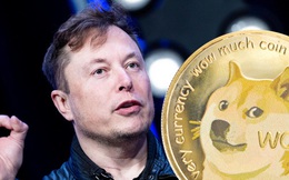 Elon Musk hé lộ lý do thực sự của việc ủng hộ Dogecoin, hóa ra nó 'nhân văn' hơn bạn nghĩ