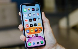Top 10 smartphone bán chạy nhất tại Việt Nam trong tháng 9 - bất ngờ vì mẫu iPhone 3 năm tuổi của Apple vẫn "on top"