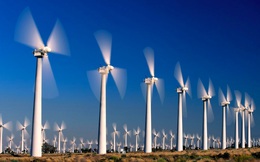 REE: 3 dự điện gió tổng công suất 102 MW đã phát điện thương mại cuối tháng 10