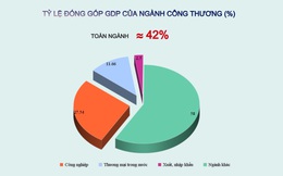 [Infographic] Việt Nam ở đâu trên “bản đồ” công thương thế giới?