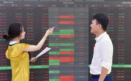 FTSE Vietnam ETF thêm mới 5 cổ phiếu Việt Nam vào danh mục trong kỳ cơ cấu tháng 12?