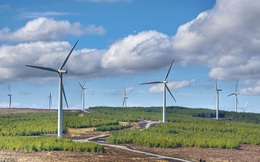 Đến 2030 công suất điện gió trên bờ đạt hơn 17.000 MW: Tiếp cận tài chính là rào cản lớn?