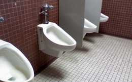 8 sự thật thú vị về nhà vệ sinh, đọc xong không còn thấy đây là nơi tầm thường nữa