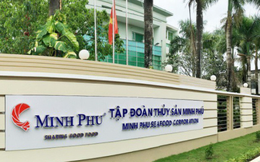 Thủy sản Minh Phú (MPC) chốt danh sách cổ đông chi gần 400 tỷ đồng trả cổ tức