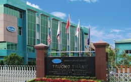 Gỗ Trường Thành (TTF) vừa chi 5,4 triệu USD mua 20% vốn một công ty nội thất Singapore