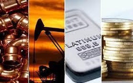 Thị trường ngày 5/11: Giá dầu, nhôm, thép và cao su đồng loạt giảm, vàng tăng mạnh trở lại