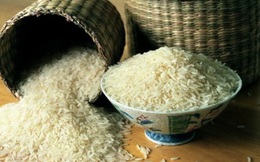 Đi mua gạo cần tuyệt đối tránh 3 loại này vì chúng 100% kém dinh dưỡng, còn chứa độc tố gây xơ gan, ung thư gan rất nguy hiểm