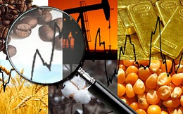 Thị trường ngày 9/11: Giá dầu tăng, sắt thép hồi phục, vàng cao nhất 2 tháng