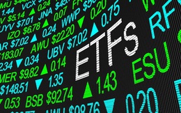 Hai quỹ ETF với quy mô danh mục hơn 1 tỷ USD sẽ cơ cấu ra sao trong tuần 13-17/12?