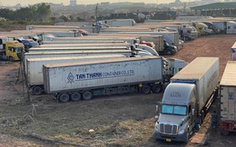 Hơn 1.000 container nông sản mắc kẹt tại cửa khẩu Móng Cái