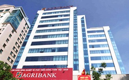 Agribank rao bán khoản nợ trăm tỷ tại công ty TM&XD Nam Long