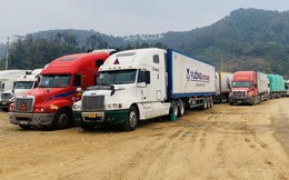 Gần 5.000 xe chở nông sản ùn ứ tại Lạng Sơn: Nỗ lực tìm giải pháp