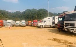 Ủy ban Kinh tế của Quốc hội yêu cầu báo cáo tình hình ùn tắc nông sản ở cửa khẩu Lạng Sơn