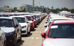 Điểm nhấn thị trường ô tô Việt năm 2021