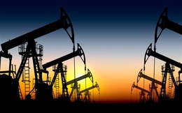 Saudi Arabia tăng giá bán dầu sang châu Á và Mỹ bất chấp virus biến thể Omicron