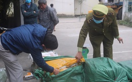 Nghệ An phát hiện và tiêu hủy hơn 14 tấn sản phẩm động vật không rõ nguồn gốc xuất xứ