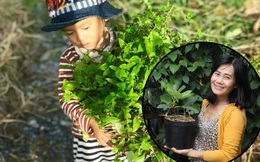 Bà mẹ 2 con "bỏ phố về quê" sống cuộc sống đẹp như tranh, chia sẻ kinh nghiệm đồng hành cùng con khiến ai nấy xuýt xoa