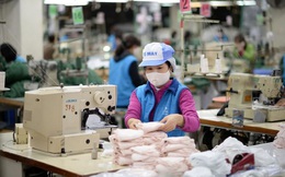 Hụt doanh thu vì Covid-19, năm 2020 Vinatex (VGT) lãi 281 tỷ đồng, giảm 46% so với 2019