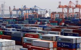 Điều gì xảy ra sau khi tốc độ tăng giá cước container chững lại sau Tết?