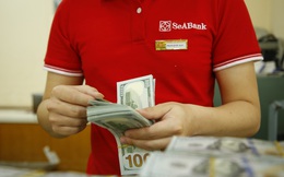 USD tự do tăng mạnh lên 23.850 đồng