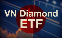 Sau chưa đầy 1 năm ra mắt, VFMVN Diamond ETF đã vượt qua VFMVN30 ETF để trở thành quỹ nội lớn nhất với quy mô hơn 8.800 tỷ đồng