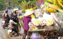 Hoa tươi sau Tết ở Hà Nội rớt giá thê thảm chưa từng thấy
