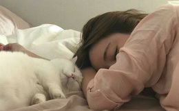 Ngủ kiểu này còn nguy hiểm gấp nhiều lần thiếu ngủ: Sức khoẻ suy giảm thấy rõ, hệ luỵ sau này càng đáng ngại!