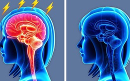 Cơ thể thay đổi thế nào khi chúng ta yêu? Tình yêu có tác động đến sức khỏe nhiều hơn bạn tưởng, nhưng không phải lúc nào cũng tích cực