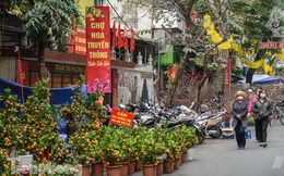 Ghé thăm chợ hoa cổ nhất Hà Nội giữa mùa dịch COVID-19