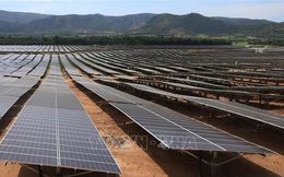 Tấm pin mặt trời hết hạn sử dụng cần có cơ chế thu nhận và xử lý phù hợp