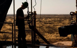 Các quỹ đầu cơ đang đặt cược mạnh vào dầu thô, đẩy giá tăng mạnh