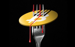 'Gót chân A-sin' của Bitcoin hóa ra lại là tính năng tuyệt vời nhất của nó