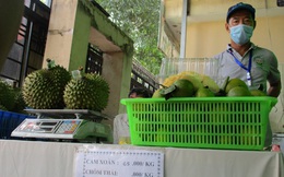 Sầu riêng trong nước khan hiếm, người Việt ăn sầu riêng ngoại cả triệu đồng/kg