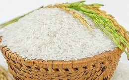 Giá gạo Châu Á đang bị ai điều khiển?