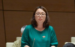 Vì sao nữ đại biểu Phú Yên từng tranh luận "nảy lửa" trên nghị trường không tái cử ĐBQH khoá XV?