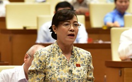 Bà Nguyễn Thị Quyết Tâm không tái ứng cử Đại biểu Quốc hội khóa XV