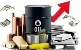 Thị trường ngày 20/3: Giá dầu đảo chiều tăng hơn 2% trong khi đường, cà phê, cao su, quặng sắt đồng loạt giảm
