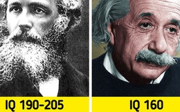 Hơn cả thiên tài: Những người có chỉ số IQ còn cao hơn Albert Einstein, và đây là những gì họ đã làm để kiếm sống