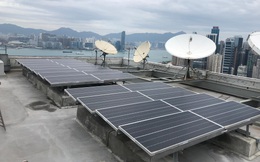 WEF: Chỉ trong 1 năm, công suất phát điện mặt trời tại Việt Nam tăng tương đương 6 nhà máy nhiệt điện than