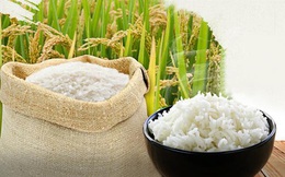 Giá gạo Châu Á tiếp tục giảm, gạo xuất khẩu của Việt Nam xuống dưới 500 USD/tấn