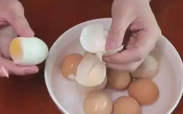 Mỗi sáng 1 quả trứng rất tốt cho sức khỏe, nhưng không nên ăn cùng 4 loại thực phẩm này kẻo "lợi bất cập hại"