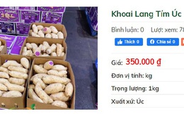 Khuyến mãi sâu, khoai lang tím Úc vẫn có giá 100.000 đồng/kg